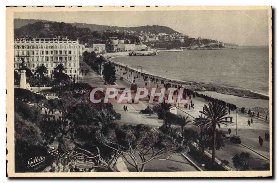 CPA Cote d'Azur Atristique Nice Les jardins Albert Ier le Mont Boron 