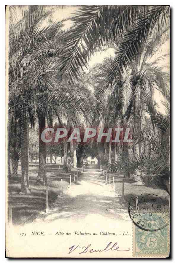 CPA Nice Allee des Palmiers au Chateau 