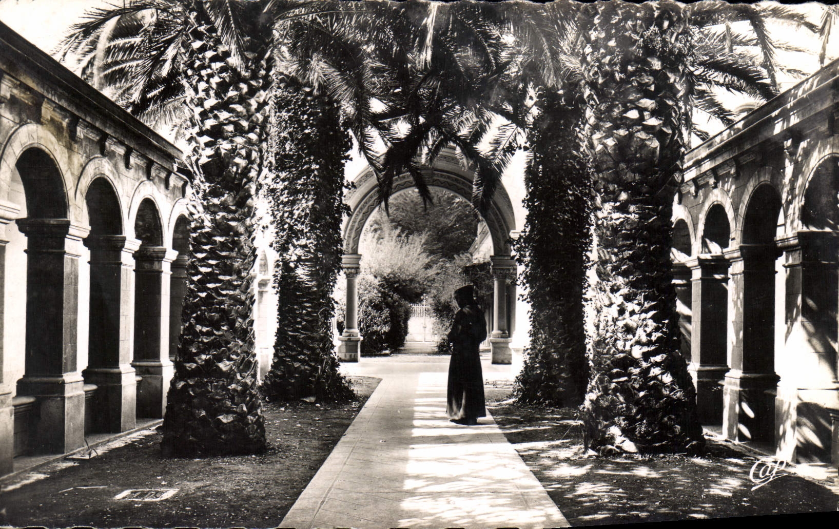 Jardin de l'abbaye de Notre-Dame de Lérins — Cannes — éditeur Capi