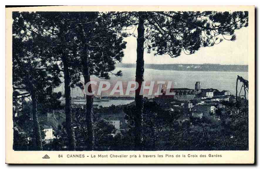 CPA Cannes le Mont Chevalier pris a travers les Pins de la Croix des Gardes 