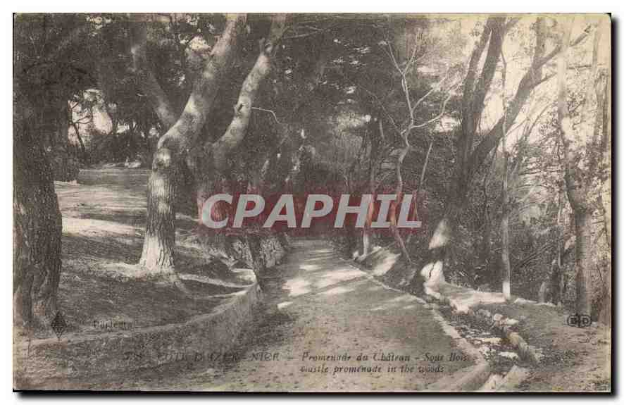 CPA Nice Promenade du Chateau Sous Bois 