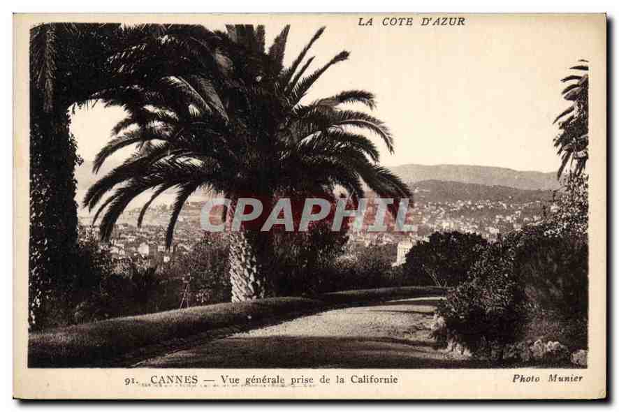 CPA La Cote d'Azur Cannes vue generale prise de la Californie 