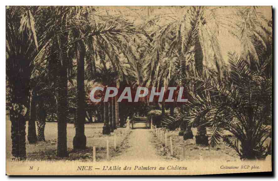 CPA Nice l'Allee des Palmiers au Chateau 