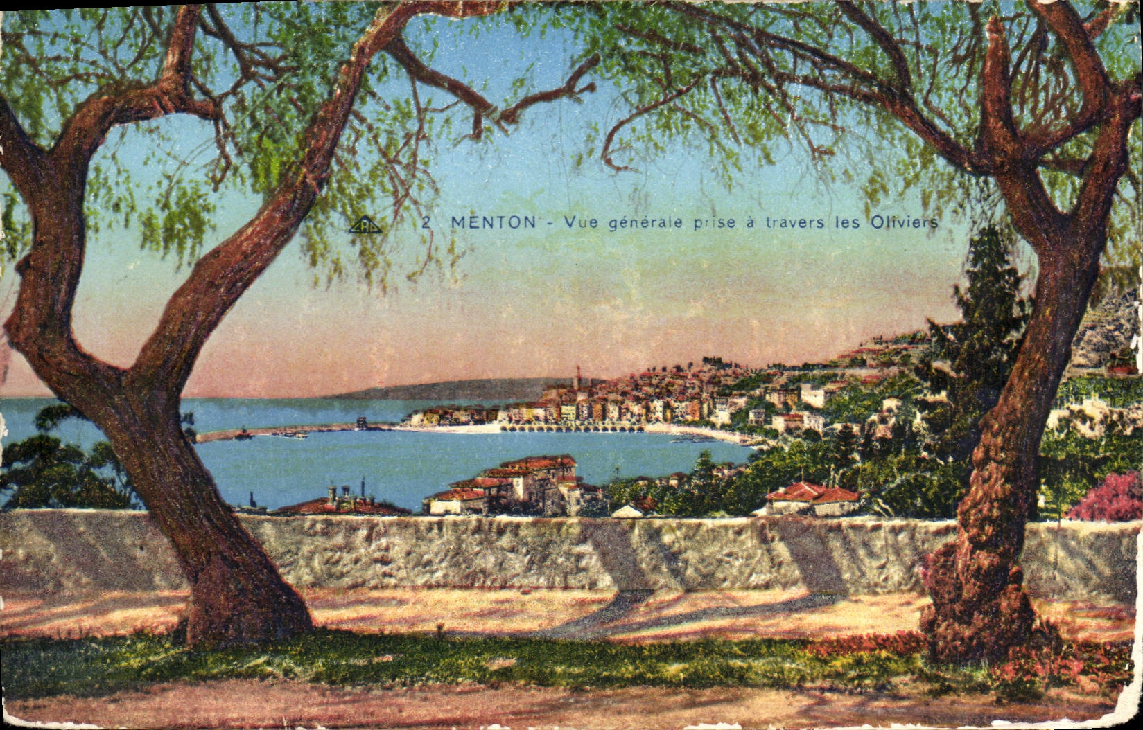 Menton - Vue générale prise à travers les Oliviers — éditeur Cie Alsacienne des Arts Photomécaniques, Strasbourg, n°2