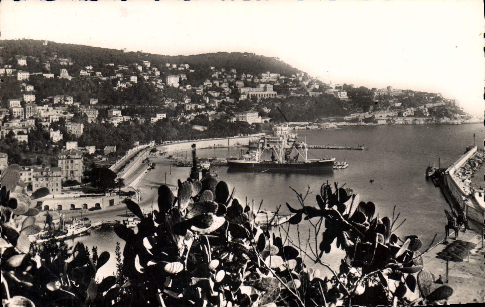 CPA Nice A M vue generale sur le Port et le Mont Boron 