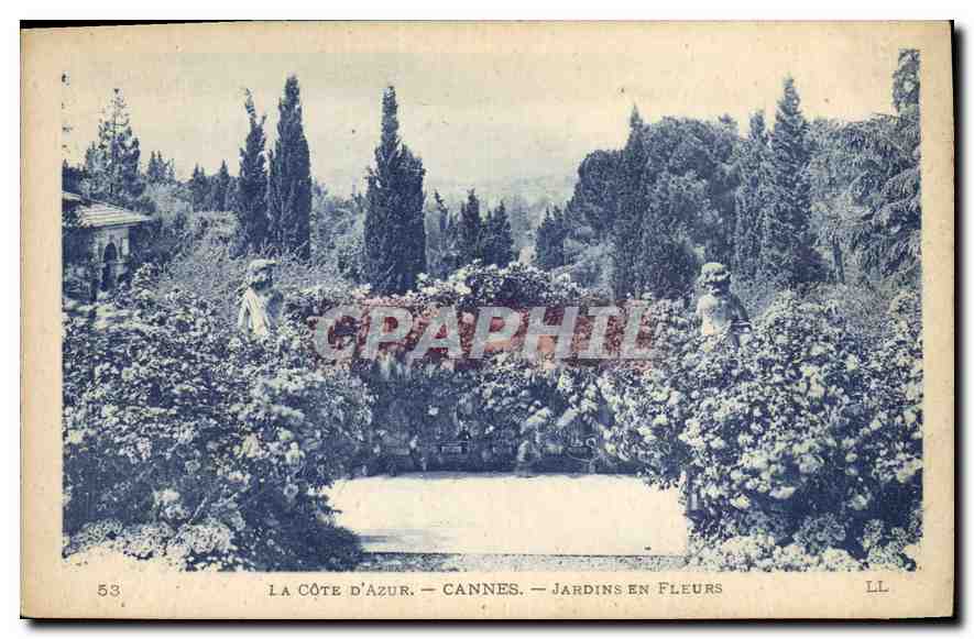 CPA La Cote d'Azur Cannes Jardins en Fleurs 