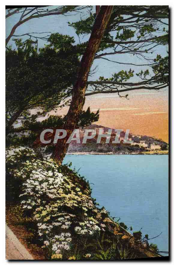 CPA Flore Artistique Au bord de la Mer 