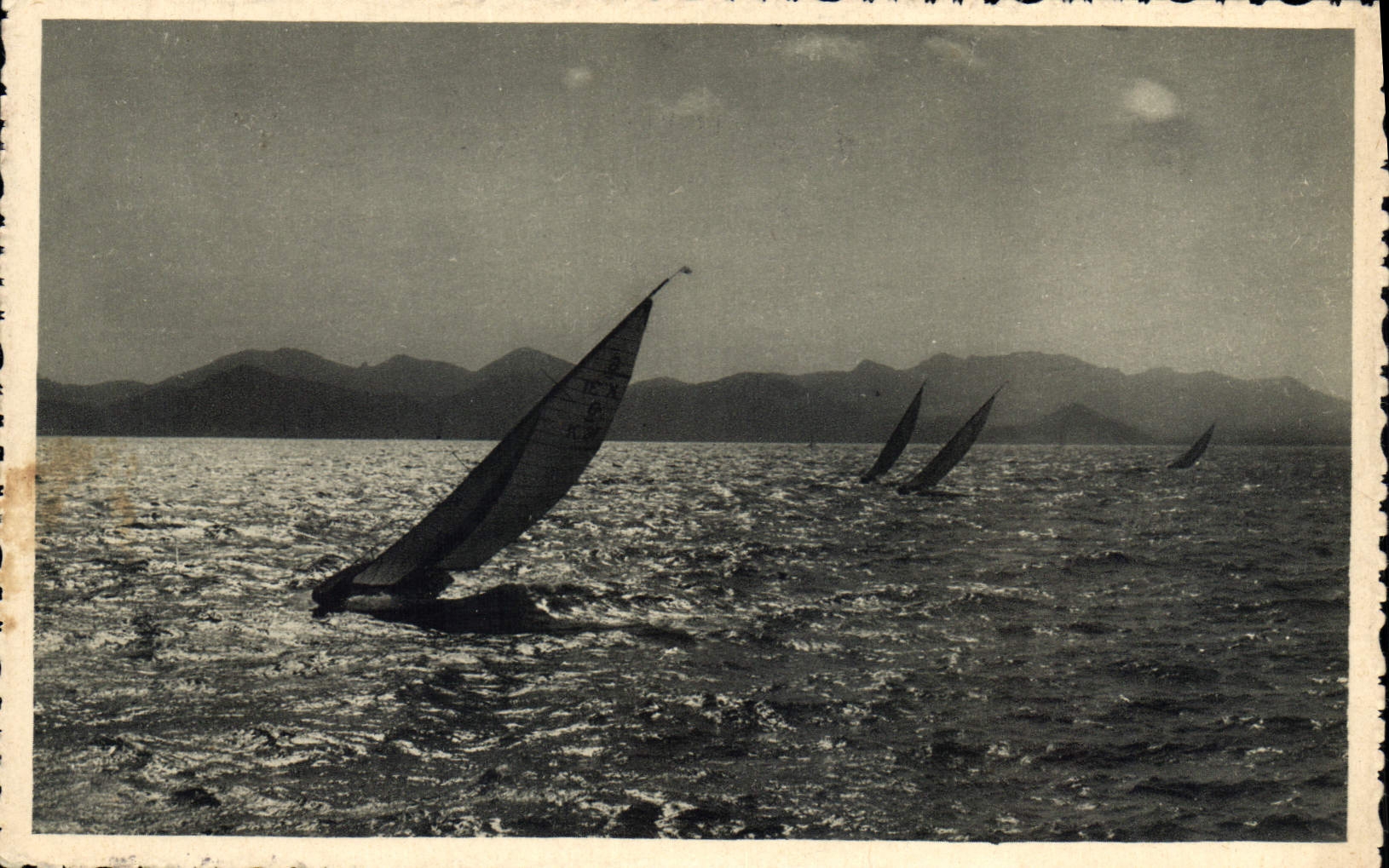 CPA La Cote d'Azur Voiliers et l'Esterel 