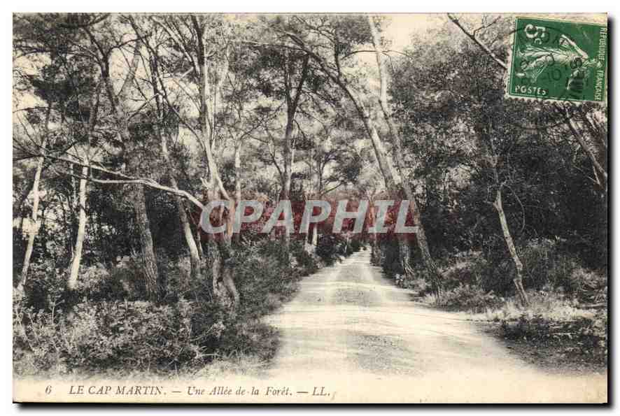CPA Le Cap Martin Une Allee de la Foret 