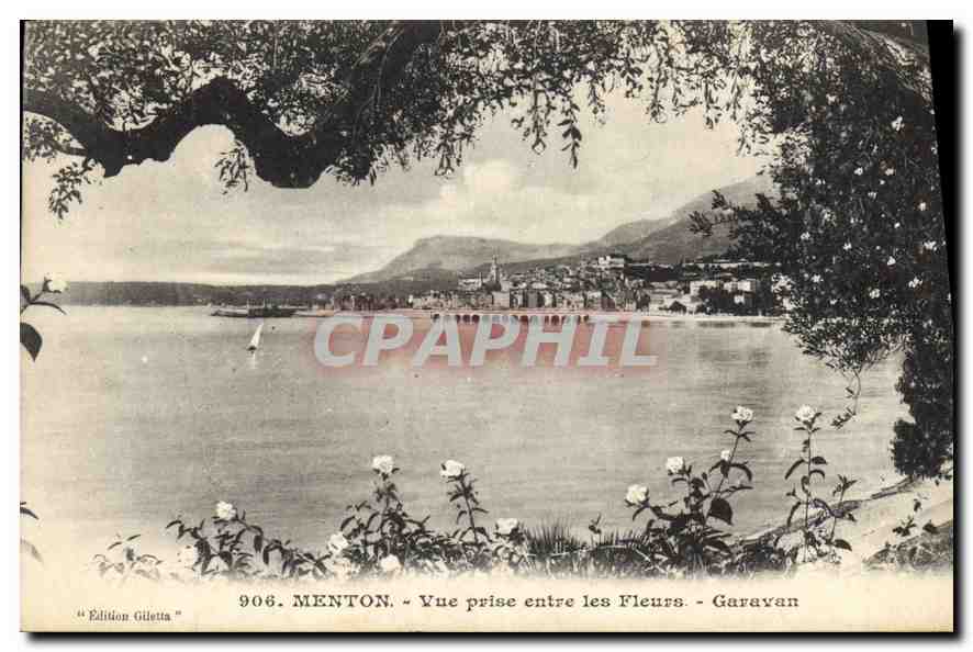 CPA Menton Vue prise entre les Fleurs Garavan 