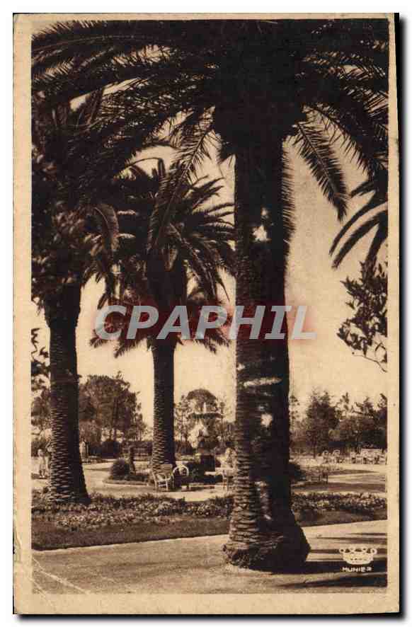 CPA Nice Un coin du Jardin Albert 1er