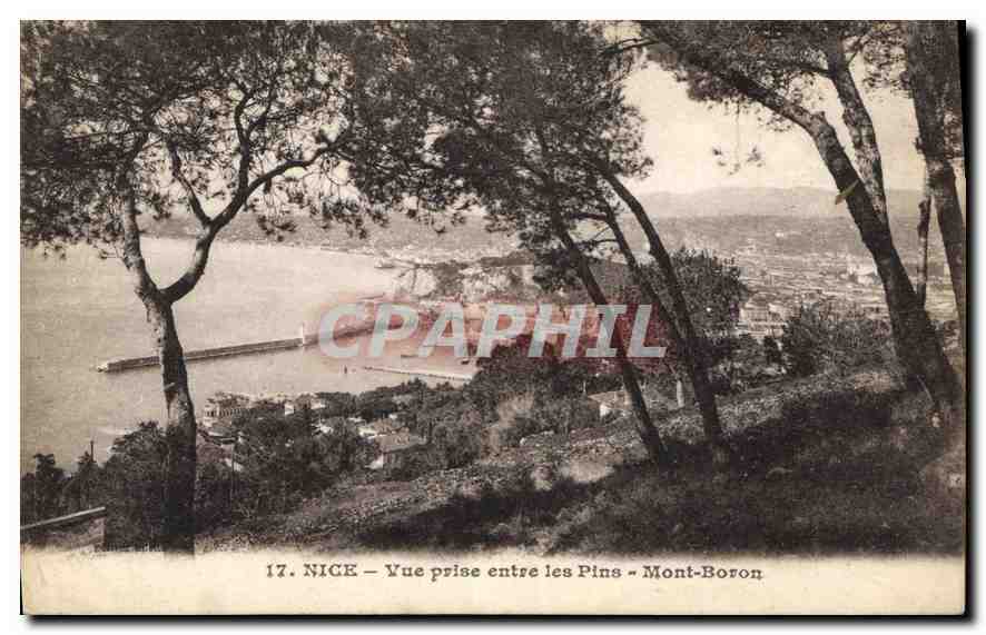 CPA Nice Vue prise entre les Pins Mont Boron 