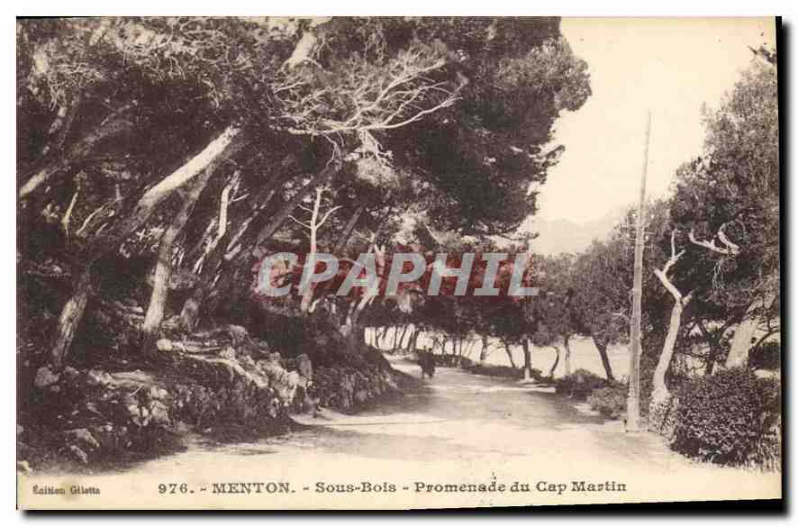 CPA Menton Sous Bois Promenade du Cap Martin 