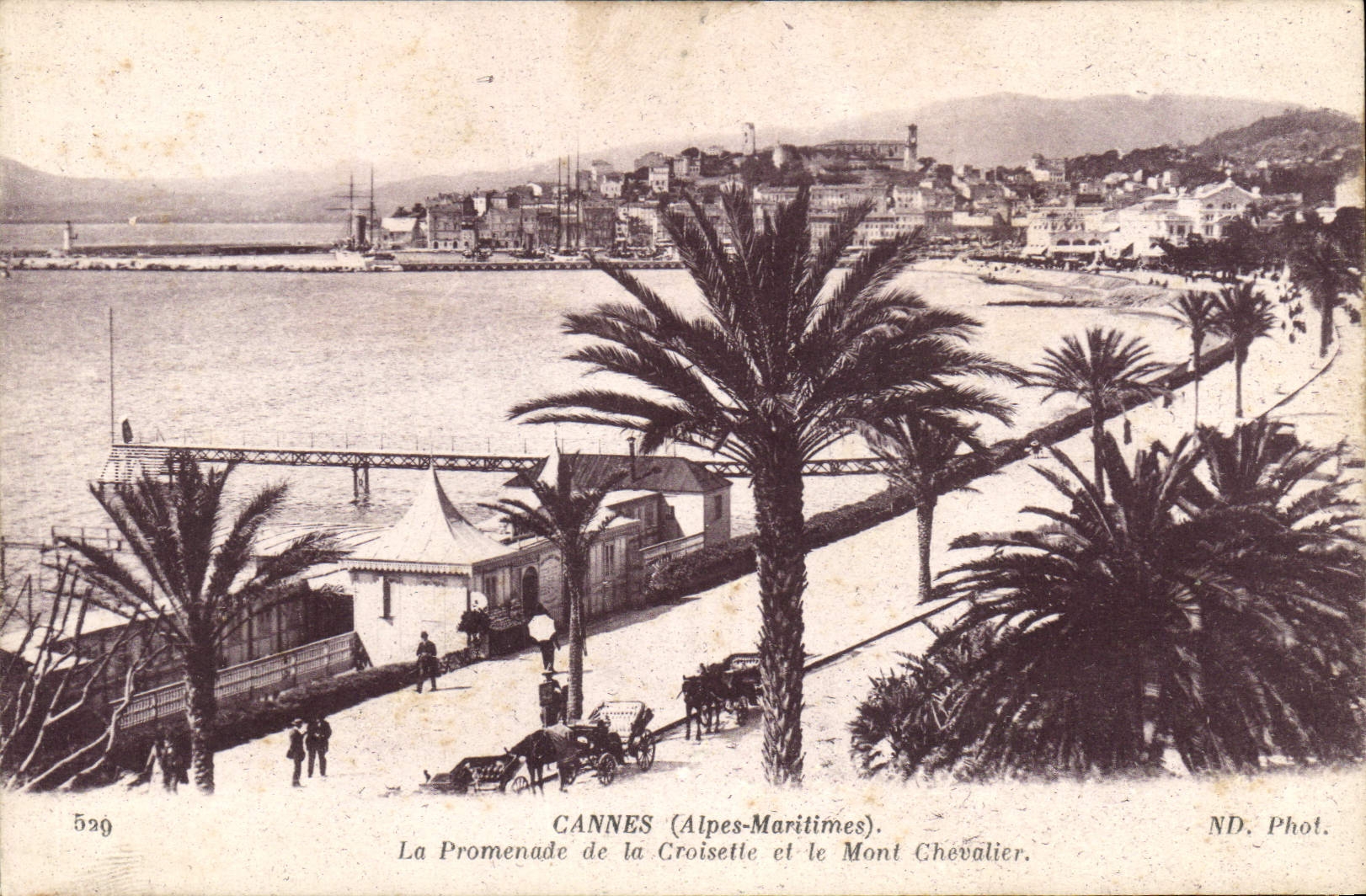 CANNES (Alpes-Maritimes) — La Promenade de la Croisette et le Mont Chevalier — ND. Phot. n° 529