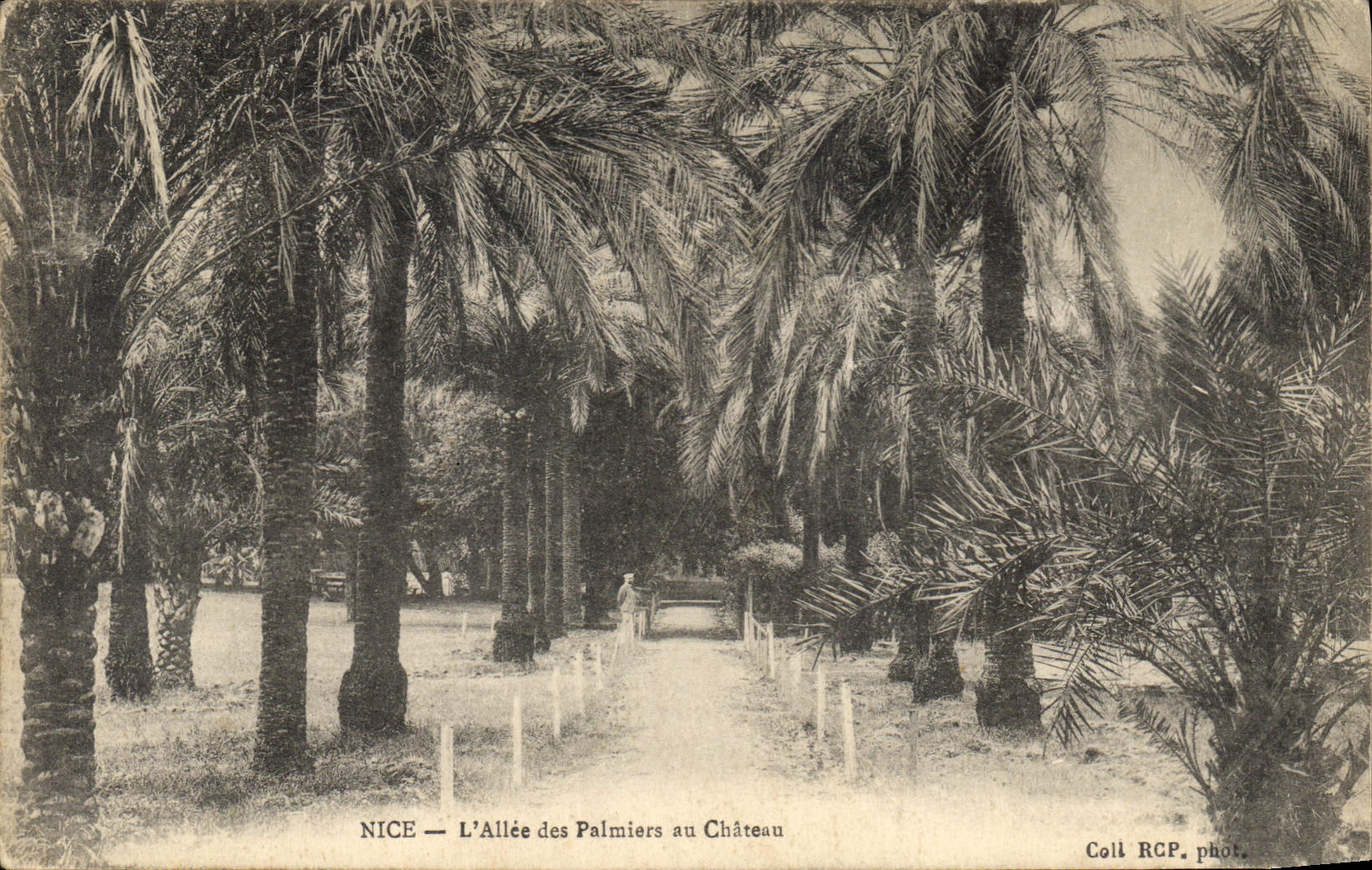 CPA Nice L'Allee des Palmiers au Chateau 