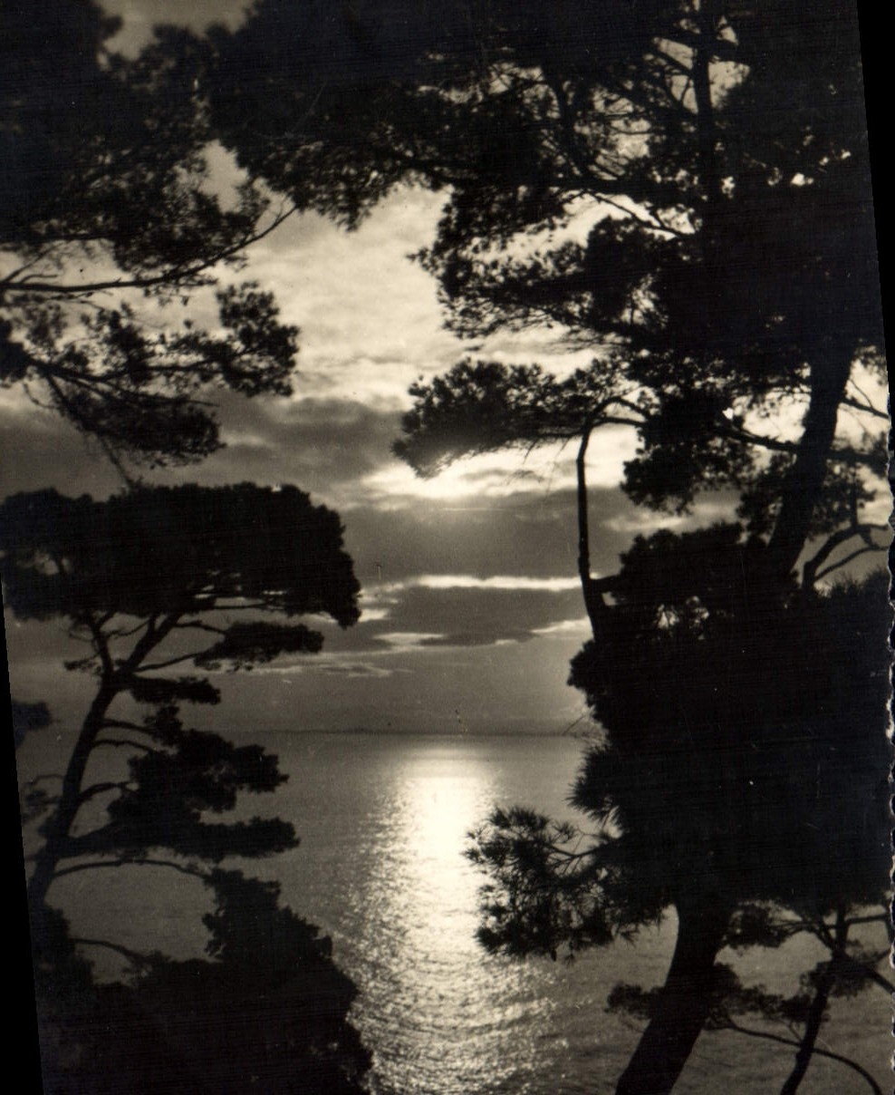 CPA La Cote d'Azur 