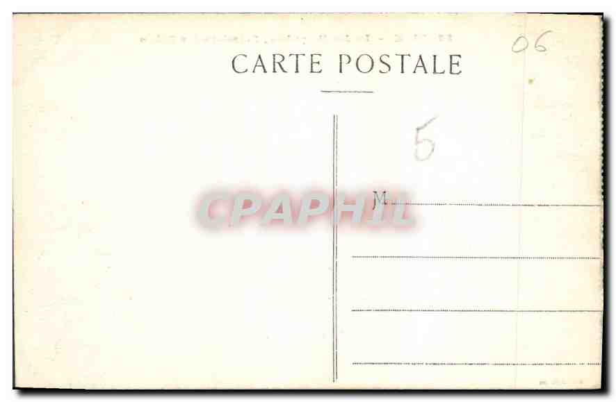 CPA Nice Le Jardin public Palmiers des Bebes  — Rückseite