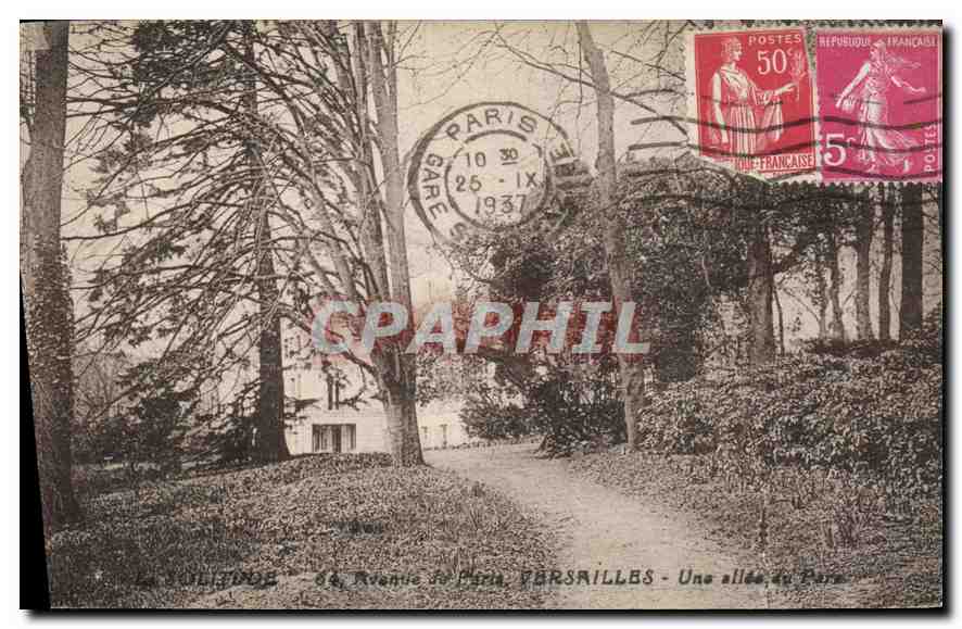CPA Versailles Une allee du Parc 
