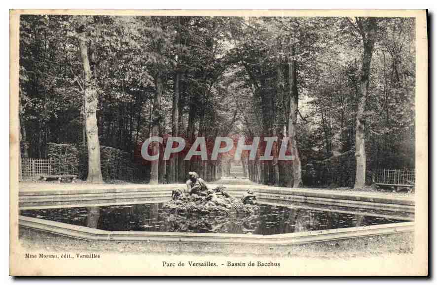 CPA Parc de Versailles Bassin de Neptune 