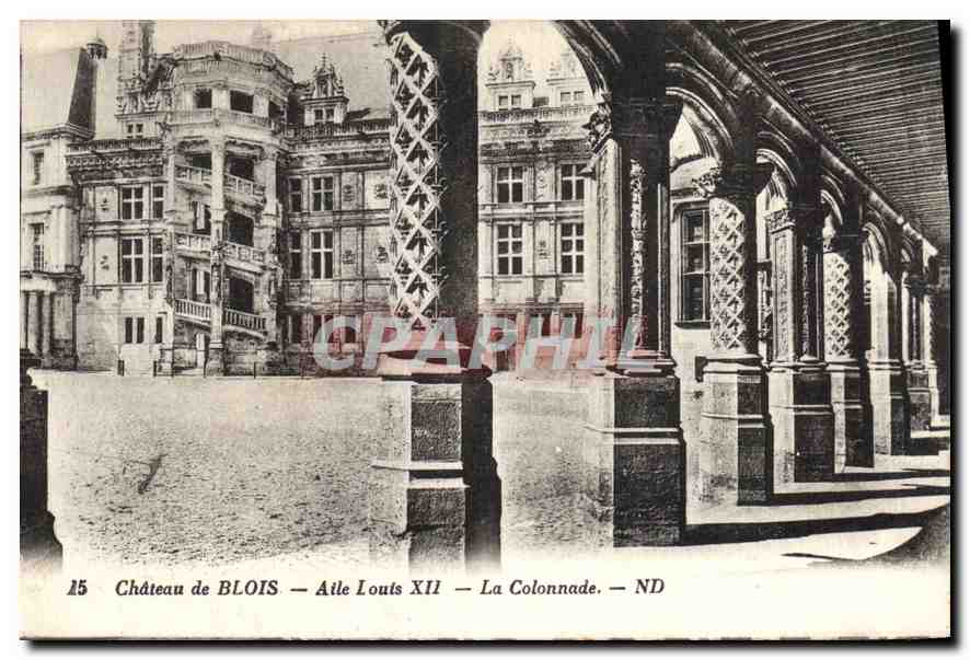 CPA Chateau de Blois Aile Louis XII La Colonnade 