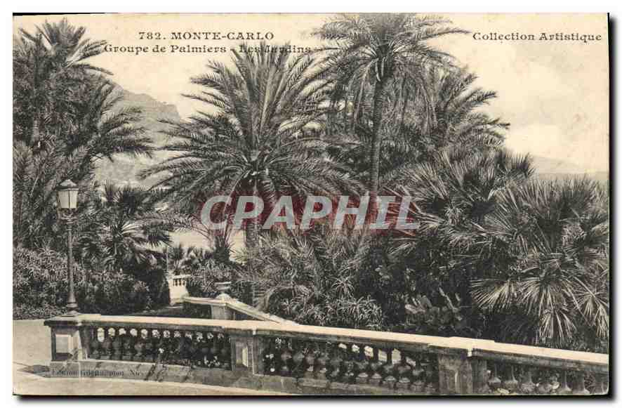 Monte-Carlo — Groupe de Palmiers — Les Jardins — Collection Artistique — Éditeur Giletta, N° 782