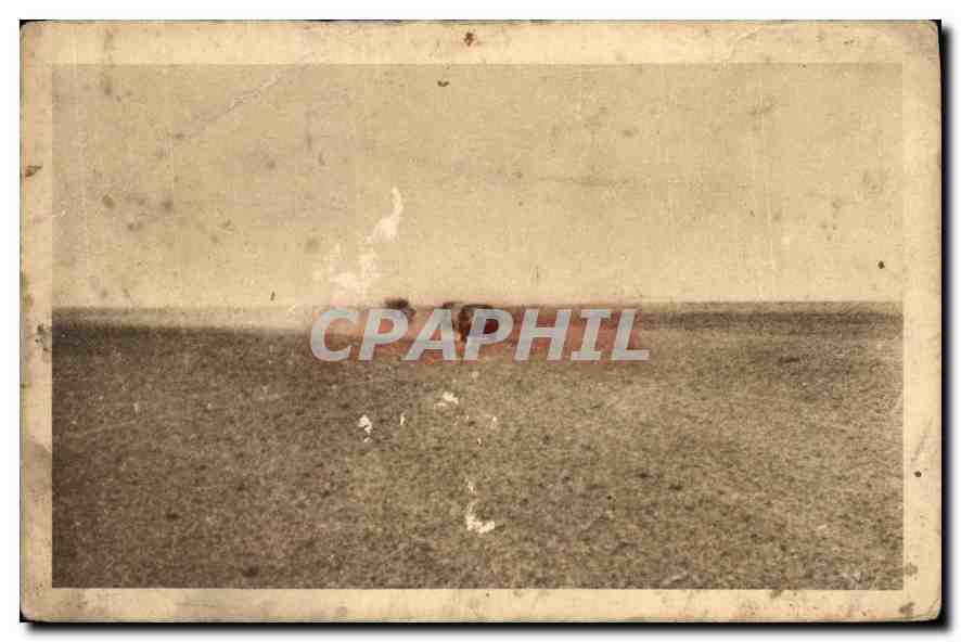 CPA Le desert grand disque de sable Raid Alger Dakar