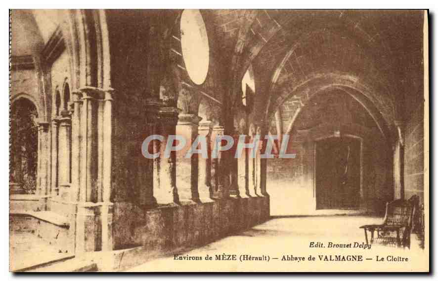 CPA Environs de Meze Herault Abbaye de Valmagne Le Cloitre 