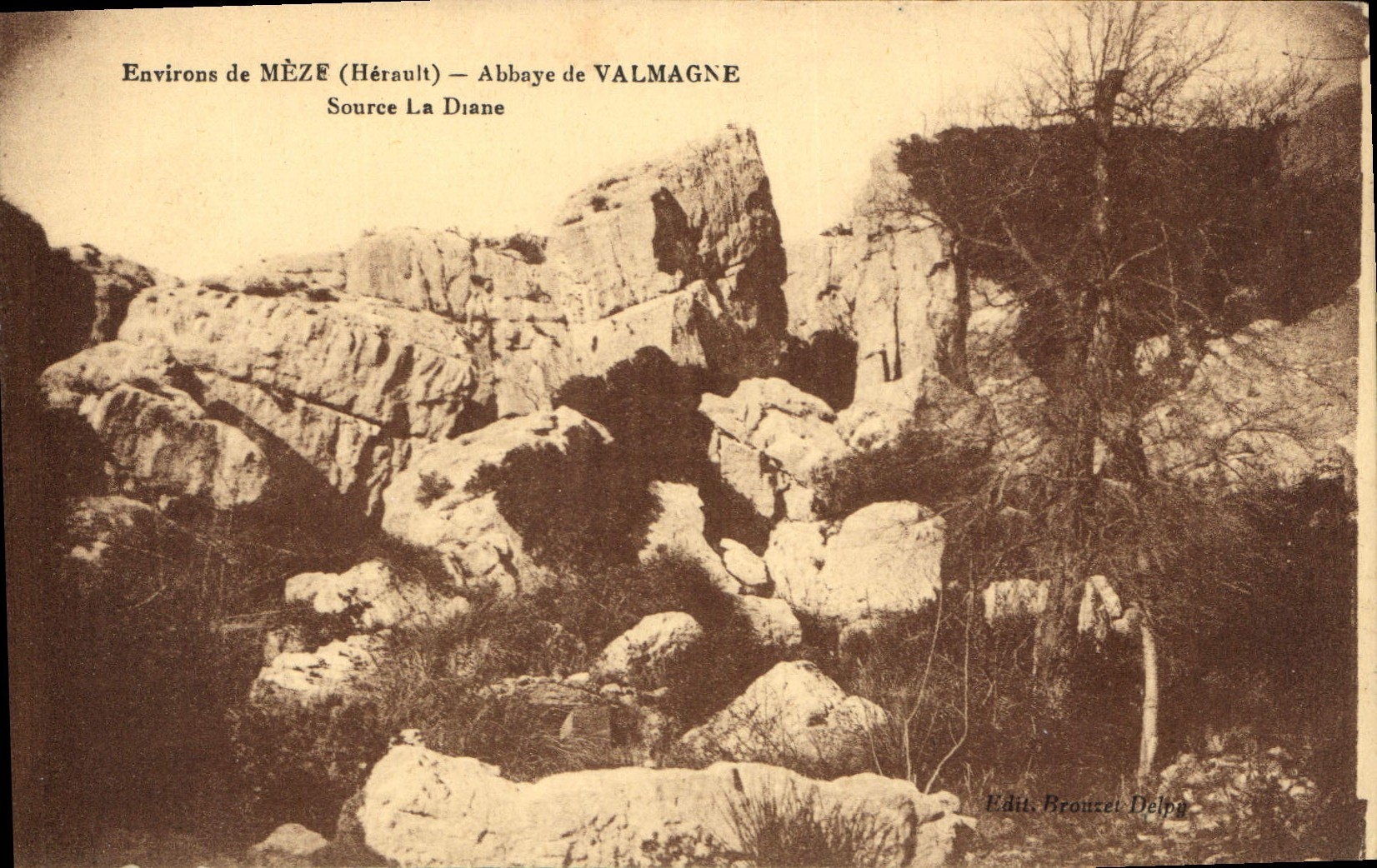 CPA Environs de Meze Herault Abbaye de Valmagne Source La Diane 