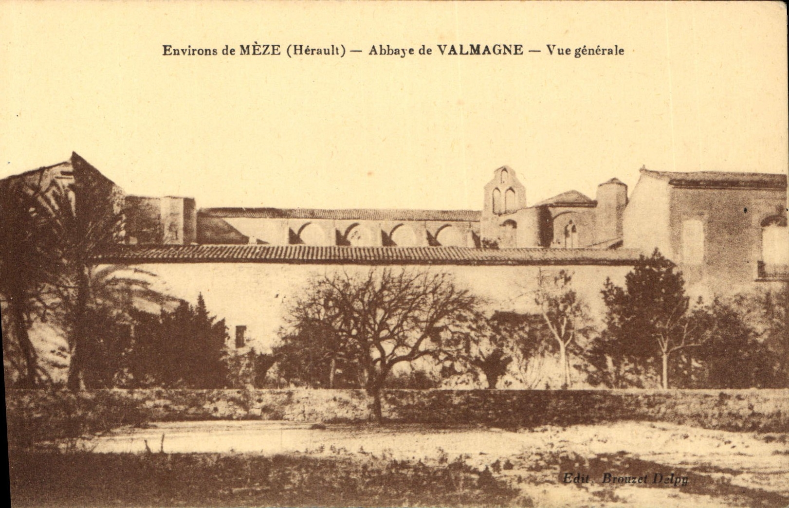 CPA Environs de Meze Herault Abbaye de Valmagne Vue generale 