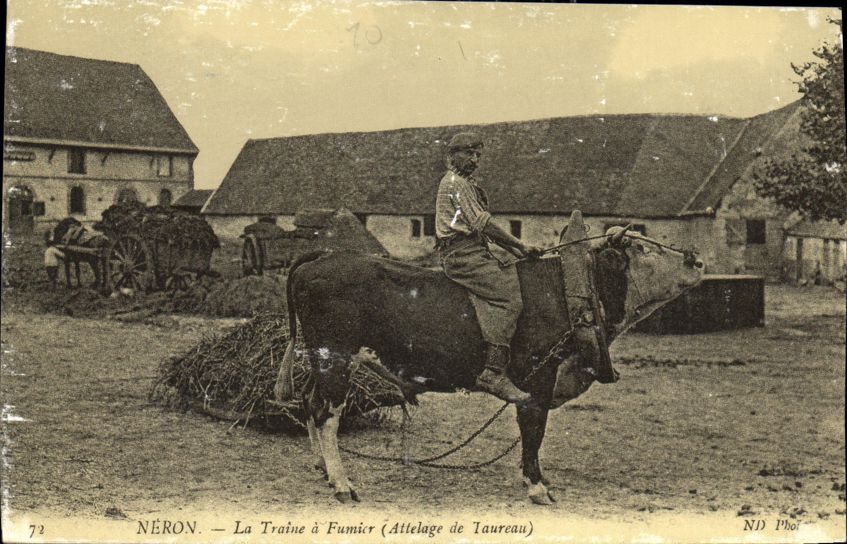 Néron — La Traine à Fumicer (Attelage de Taureau) — ND Phot