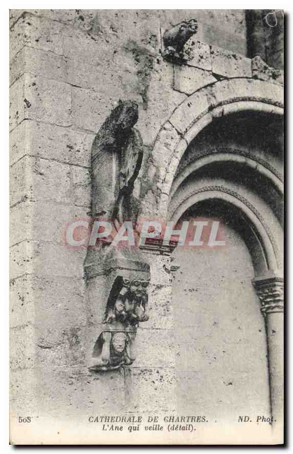 CPA Cathedrale de Chartres l'Ane qui veille detail 