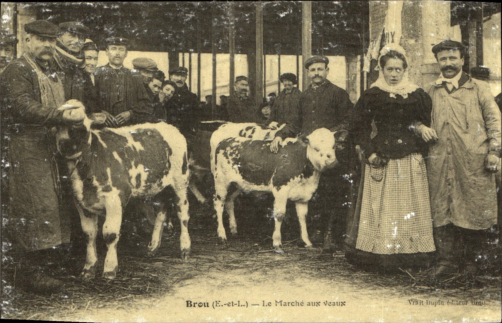 Brou (E.-et-L.) — Le Marché aux veaux — Vraît Dupin éditeur Brou