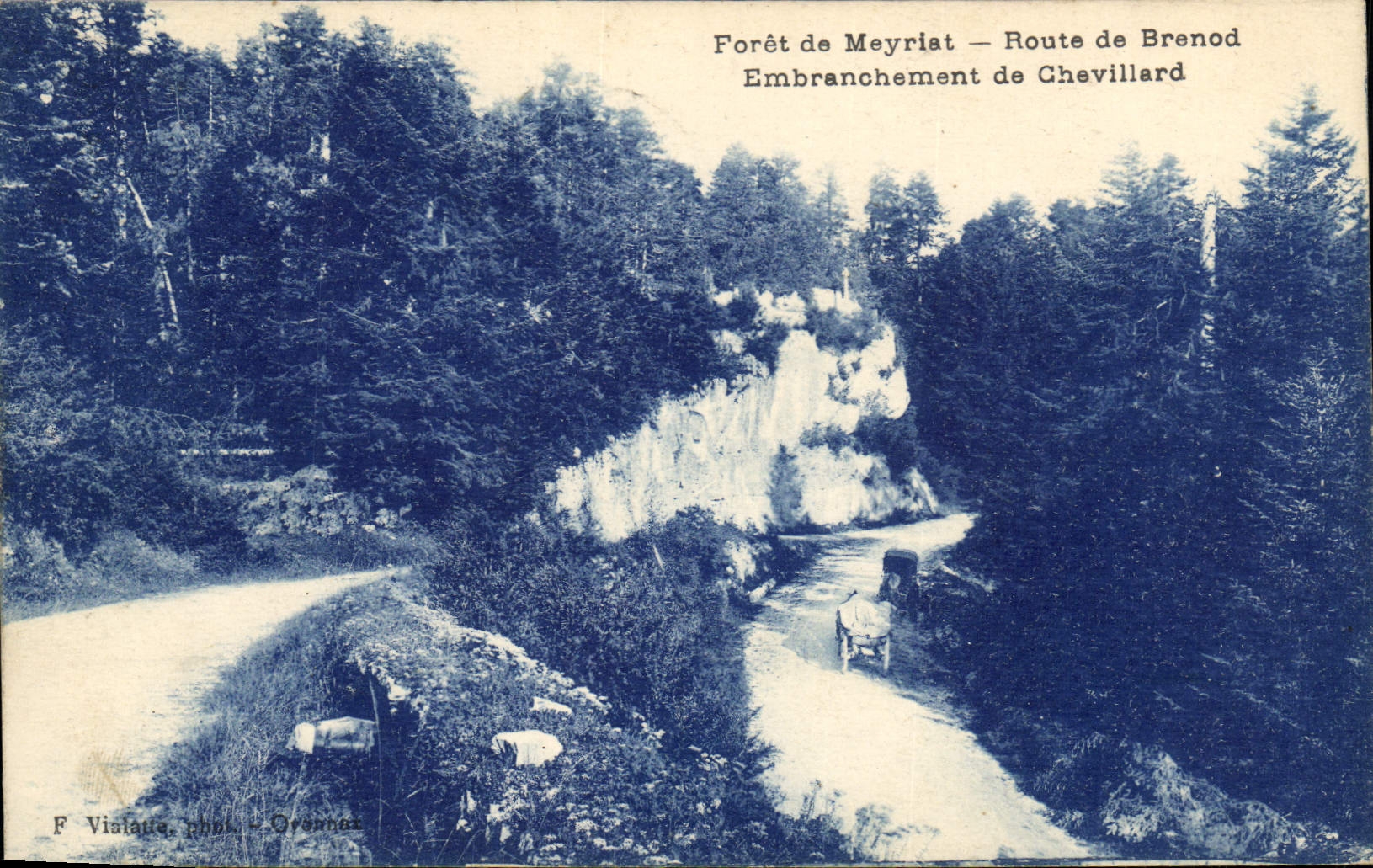 Forêt de Meyriat — Embranchement de Chevillard — F. Vialaou, phot. Oramman