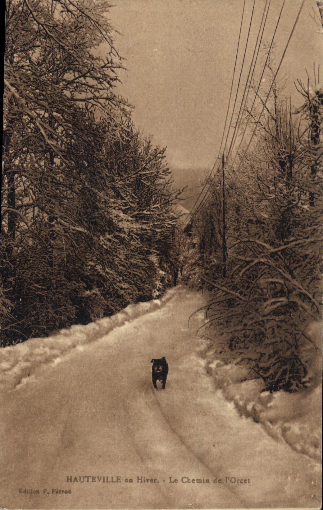 CPA Hauteville en Hiver le Chemin de l'Orcet 