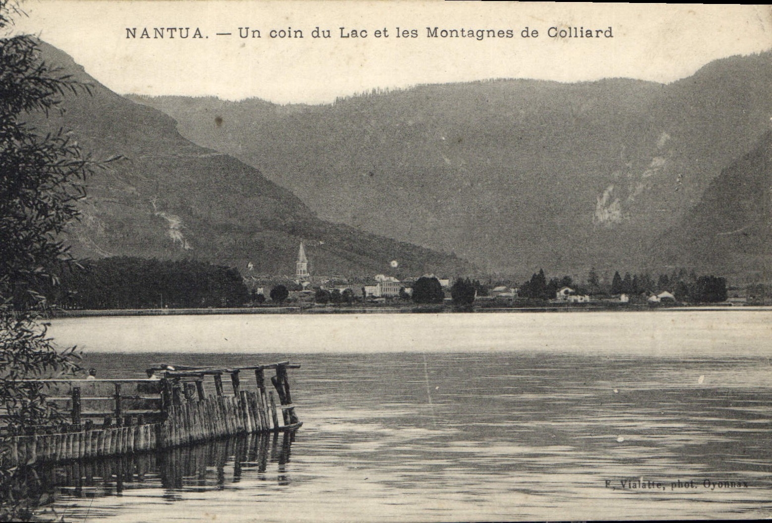 CPA Nantua un Coin du Lac et les Montagnes de Colliard 