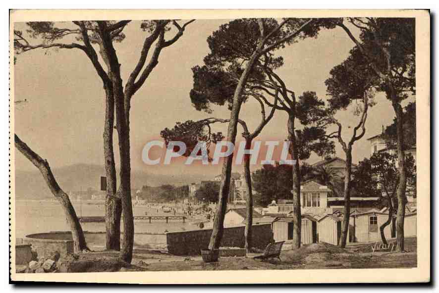 CPA La Douce France Cote d'Azur Juan les Pins Alpes Maritimes La Plage vue a travers les Pins 