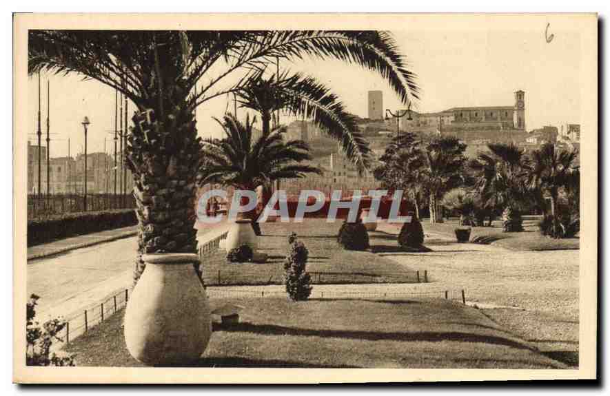 CPA Cote d'Azur Cannes Le Suquet vu du Jardins du Casino 