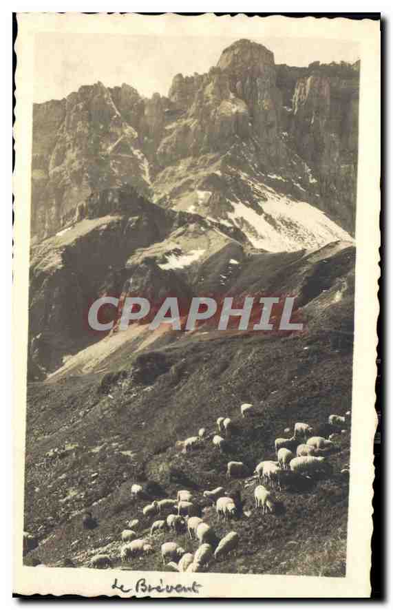 CPA Le Brevent Moutons
