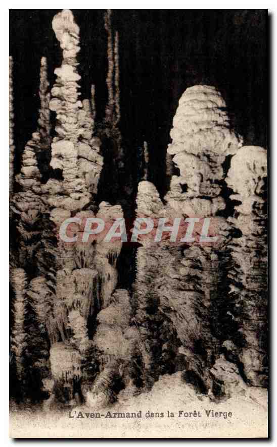 CPA L'Aven Armand dans la Foret Vierge 