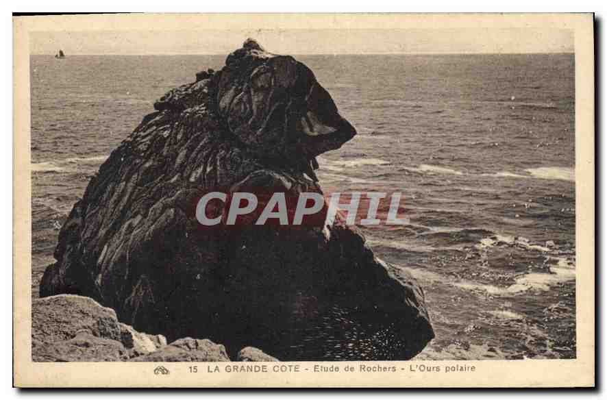 CPA la Grande Cote Etude de Rochers L'Ours polaire 
