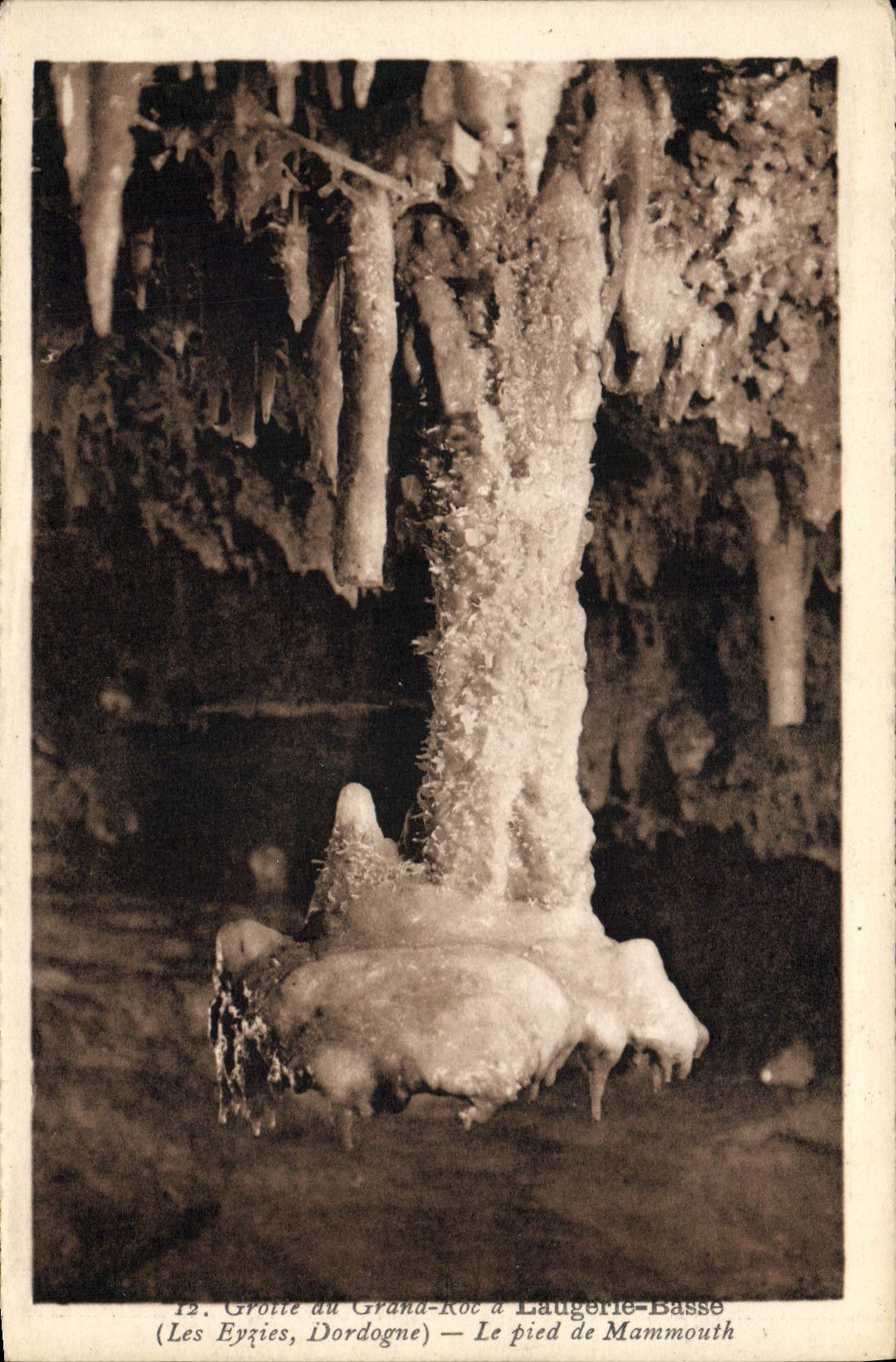 Grotte du Grand-Roc à Lauzerie-Basse — Le pied de Mammouth — Les Eyries, Dordogne