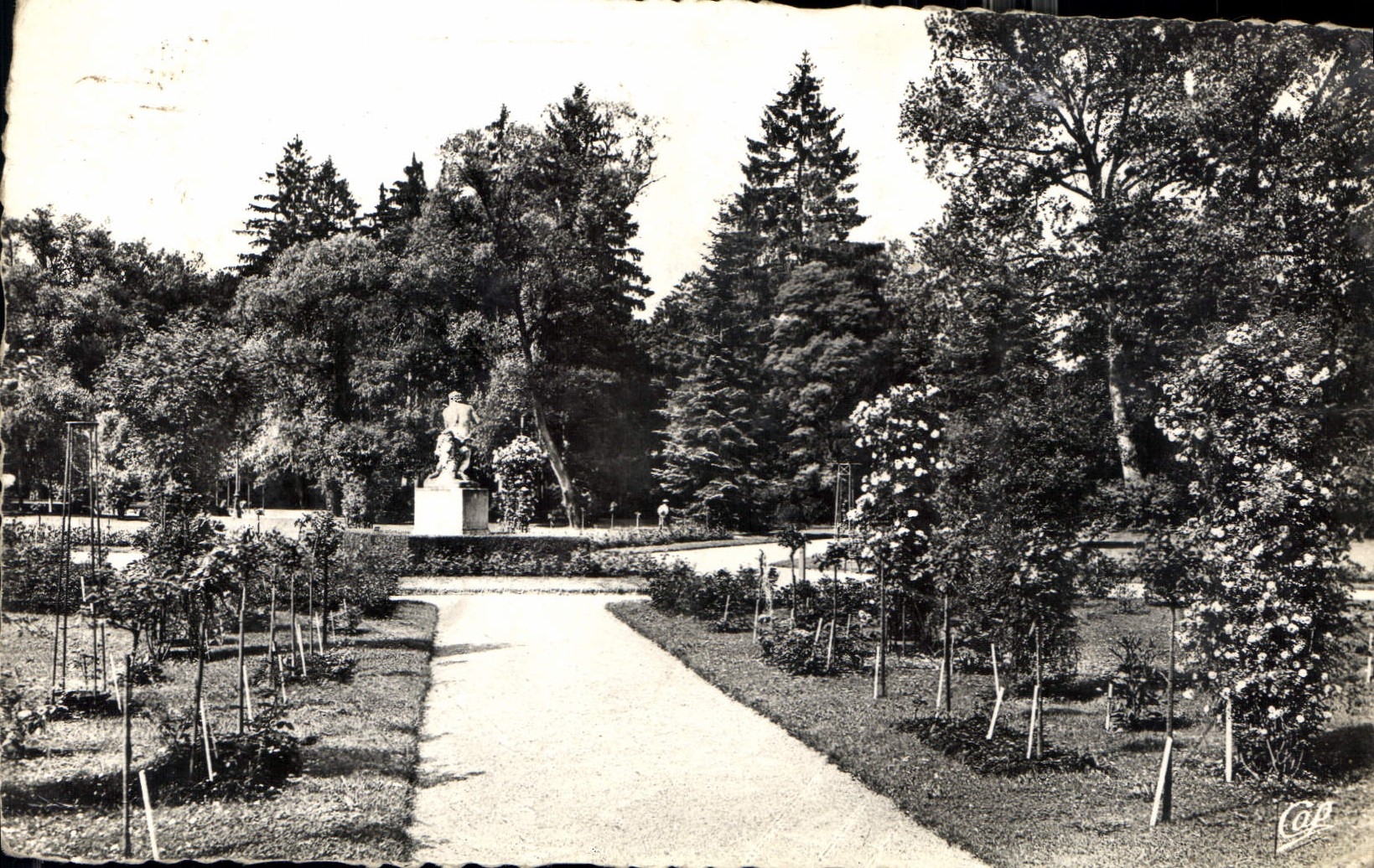 CPA Vittel Vue dans la Roseraie 