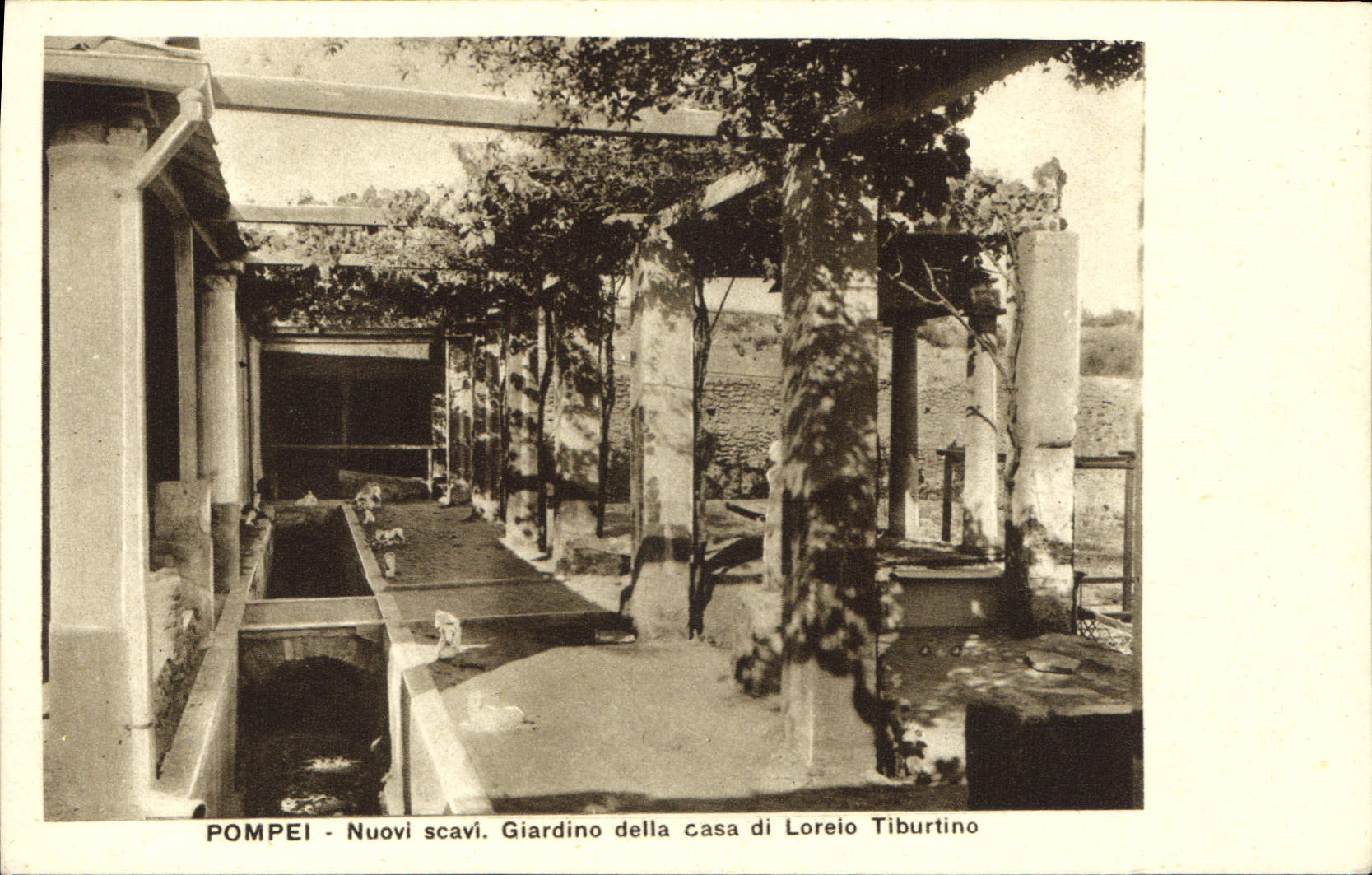 CPA Pompei Nuovi scavi Giardino della casa di Loreio Tiburtino 