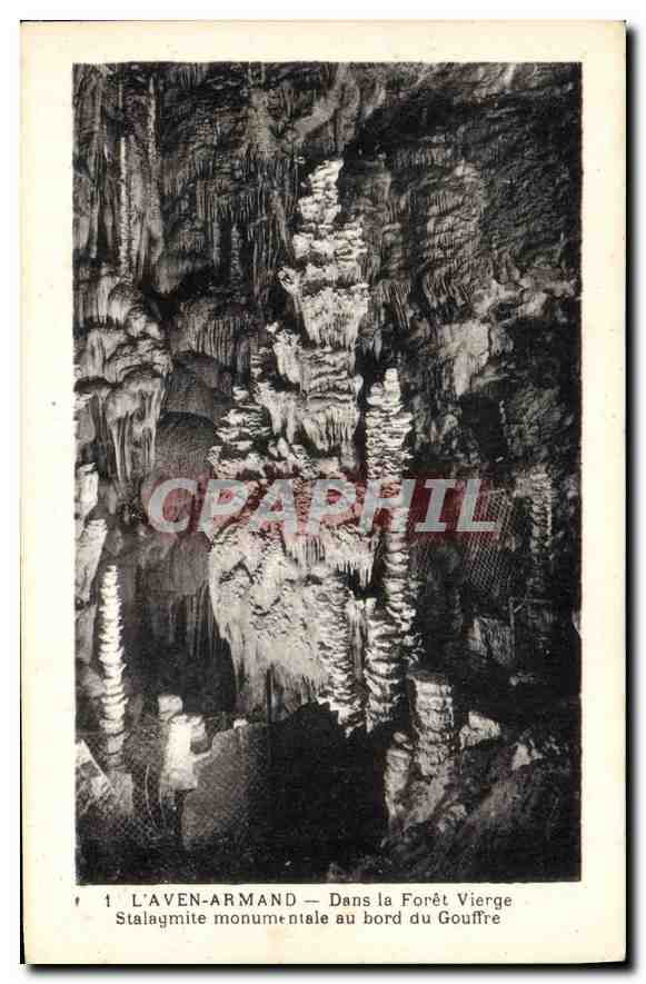 CPA l'Aven Armand Dans la Foret Vierge Stalagmite monumentale au bord du Gouffre 