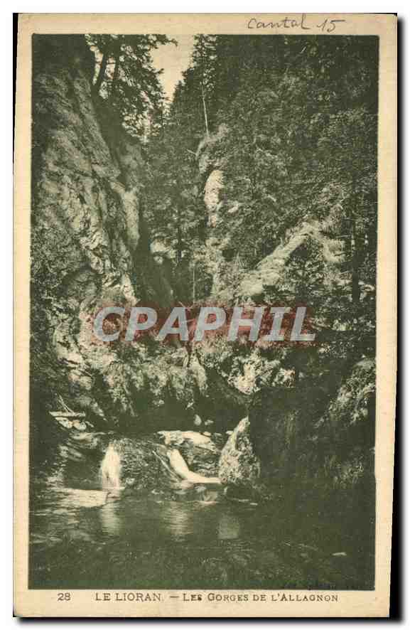 CPA Cantal Le Lioran Les Gorges de l'Allagnon 