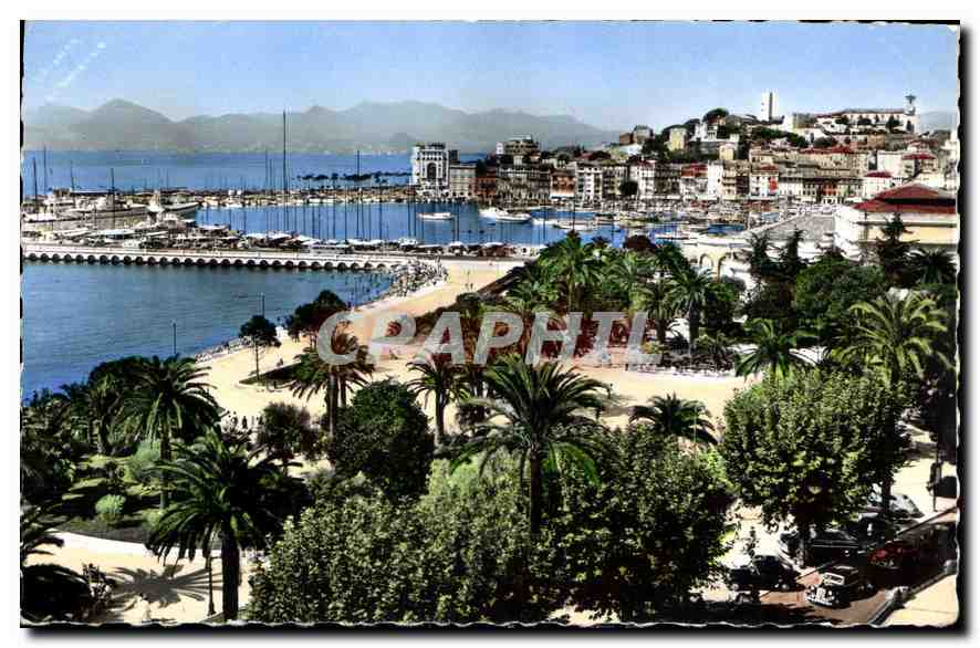 CPA la Cote d'Azur Cannes le Jardin et le Suquet 