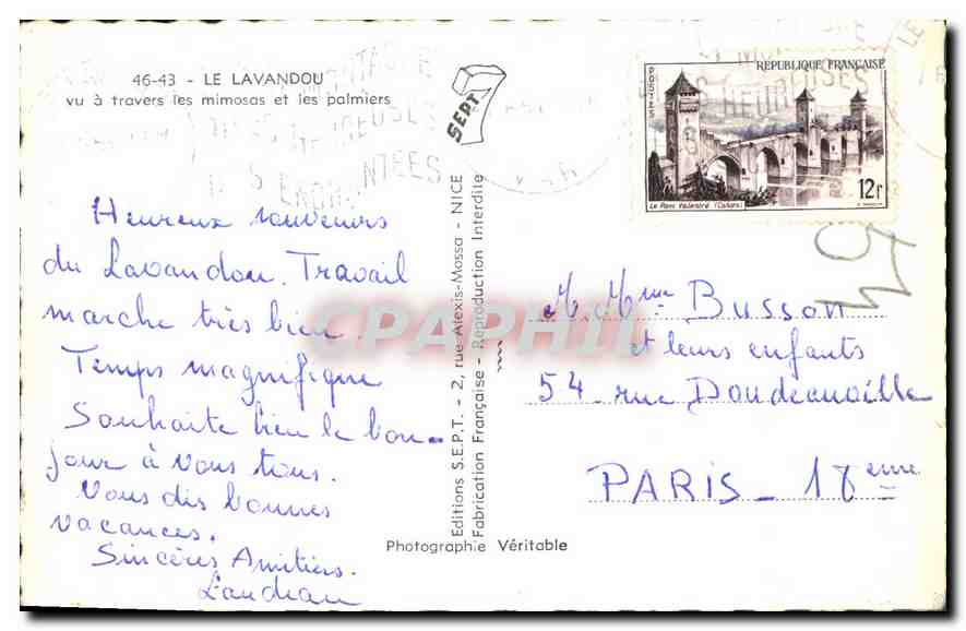 Le Lavandou — Blick durch Mimosen und Palmen — Editions S.E.P.T. - 2, rue Alexis-Massa — Rückseite