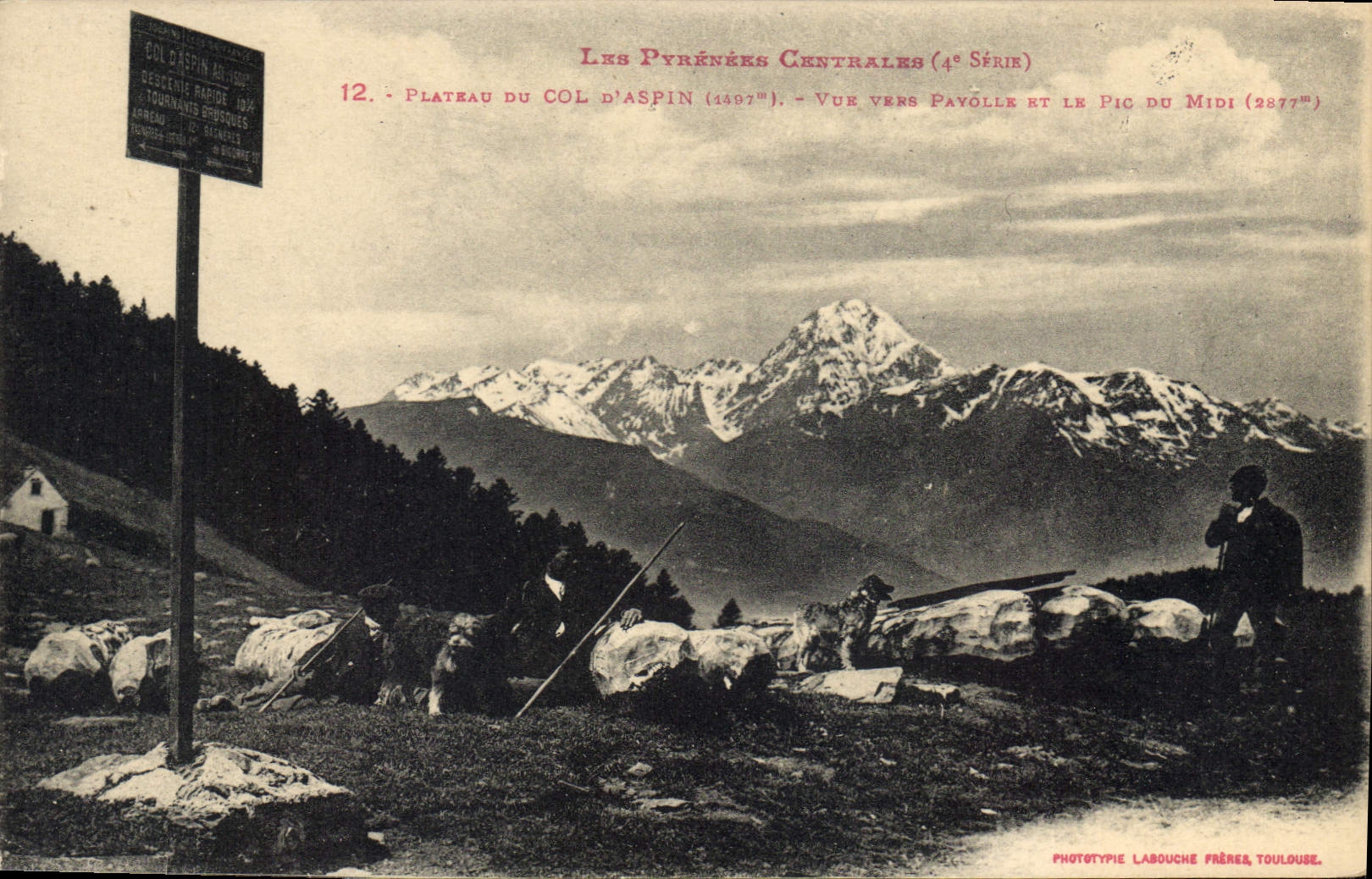 CPA les Pyrenees Centrales Plateau du Col d'Aspin 
