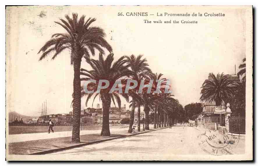 CPA Cannes La Promenade de la Croisette 