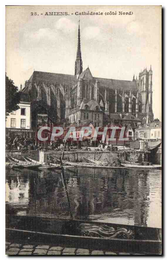 CPA Amiens Cathedrale Cote Nord 